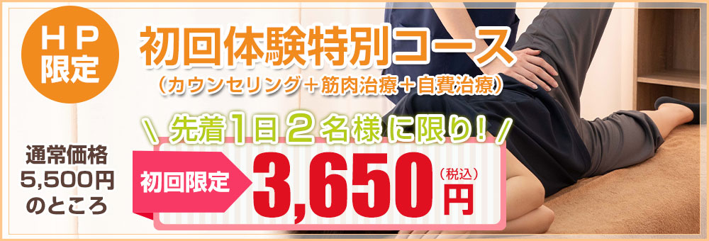 HP限定初回特別価格3300円
